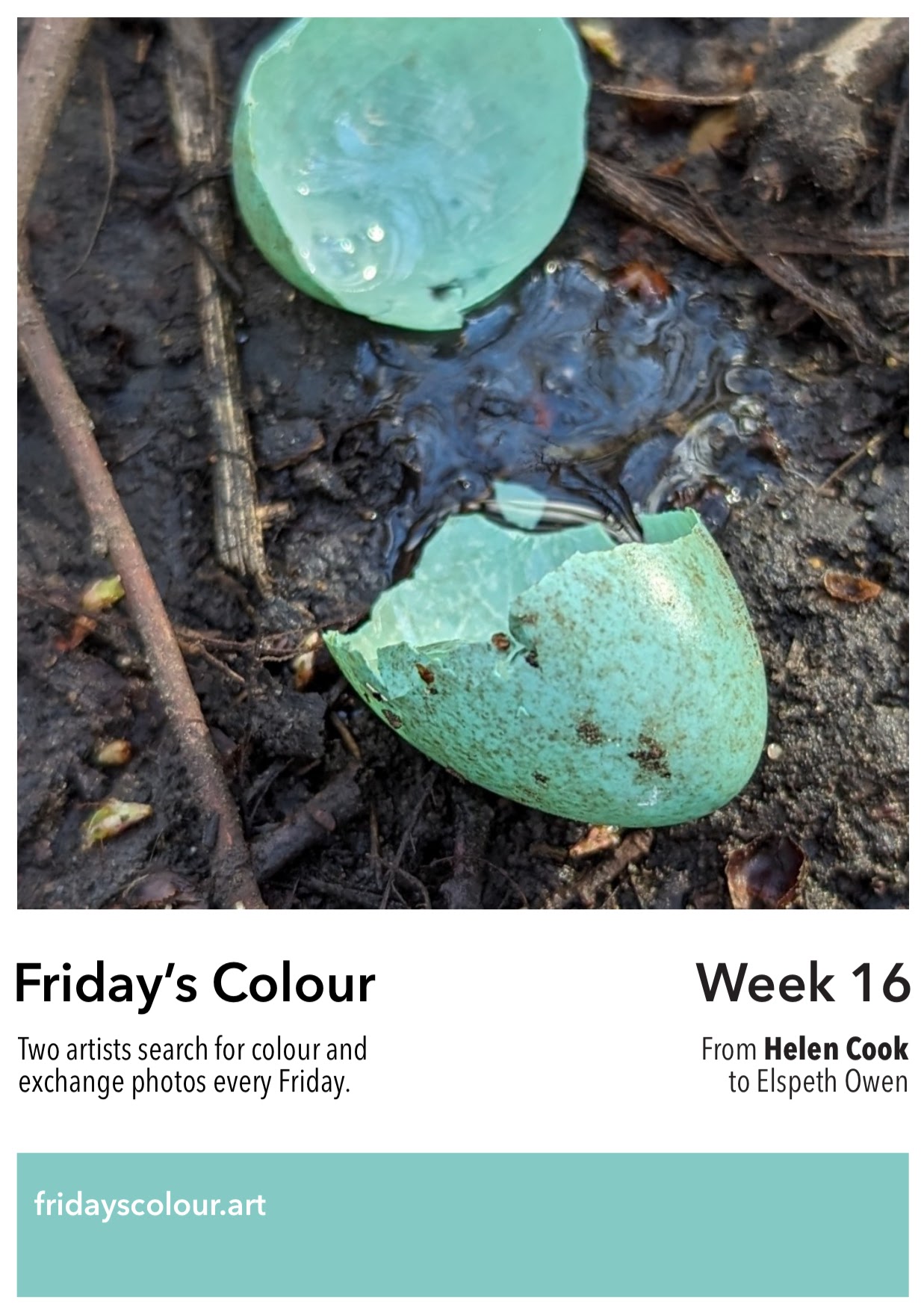 card showing an image of blue blackbird eggs